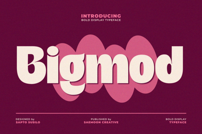 Bigmod